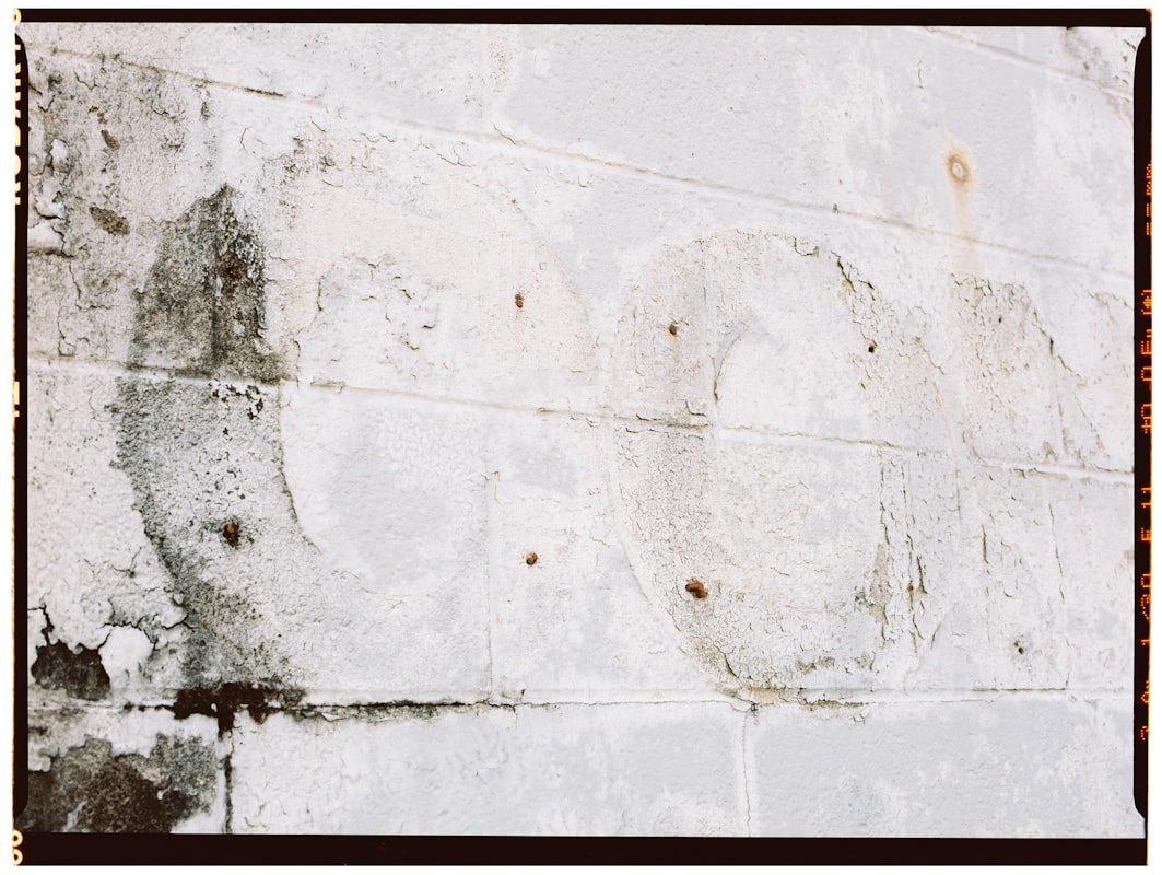 Mold Remediation service in La Crosse, WI